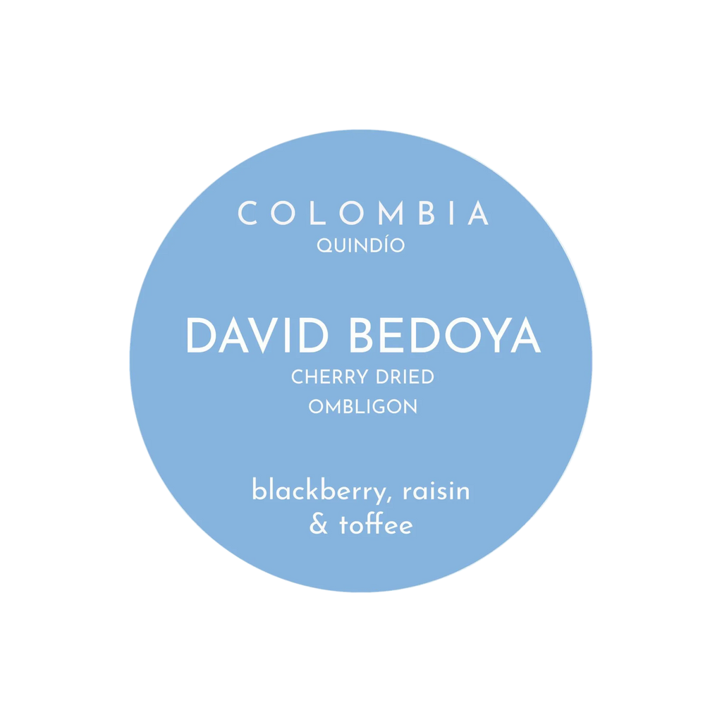 David Bedoya
