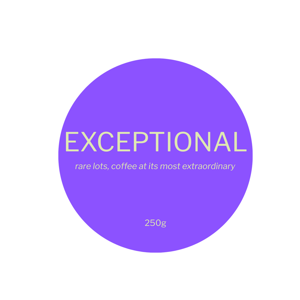 EXCEPTIONAL